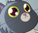 Maniak Cat